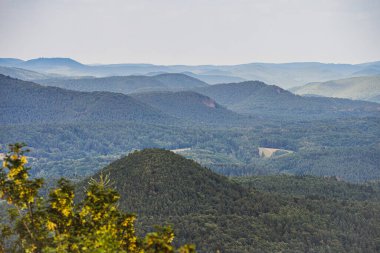 Pfaelzer wald ağaç tepelerinin güzel manzarası, rheinland-pfalz, Almanya