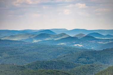 Pfaelzer wald ağaç tepelerinin güzel manzarası, rheinland-pfalz, Almanya