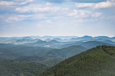 Pfaelzer wald ağaç tepelerinin güzel manzarası, rheinland-pfalz, Almanya
