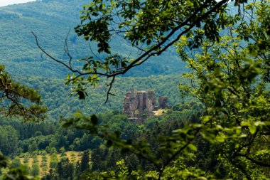 Pfaelzer wald ağaç tepelerinin güzel manzarası, rheinland-pfalz, Almanya
