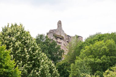 Pfaelzer wald ağaç tepelerinin güzel manzarası, rheinland-pfalz, Almanya
