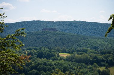 Pfaelzer wald ağaç tepelerinin güzel manzarası, rheinland-pfalz, Almanya