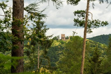 Pfaelzer wald ağaç tepelerinin güzel manzarası, rheinland-pfalz, Almanya