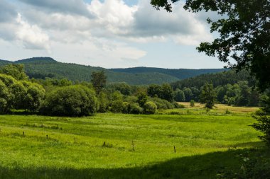 Pfaelzer wald ağaç tepelerinin güzel manzarası, rheinland-pfalz, Almanya