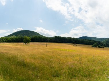Pfaelzer wald ağaç tepelerinin güzel manzarası, rheinland-pfalz, Almanya