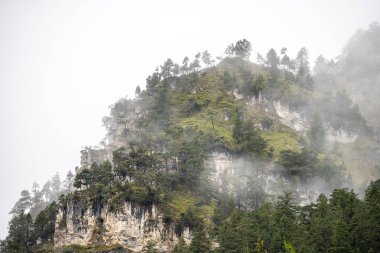 Ağaçlar ve dağ zirveleri sisli Yazın güzel planlı göl, Avusturalya