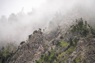 Ağaçlar ve dağ zirveleri sisli Yazın güzel planlı göl, Avusturalya
