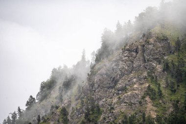 Ağaçlar ve dağ zirveleri sisli Yazın güzel planlı göl, Avusturalya
