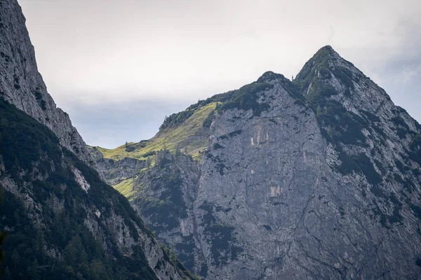 Wetterstein Dağlarının Manzarası Yazın Bir Çayır Bavyera Almanya — Stok fotoğraf