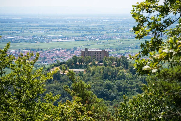 Piękny Krajobraz Wzgórz Drewna Pfaelzer Wald Rheinland Pfalz Niemcy — Zdjęcie stockowe