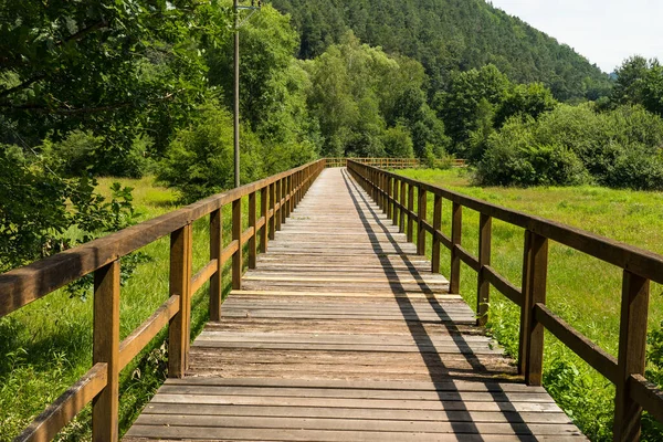 Pfaelzer Wald Rheinland Pfalz Germany 의아름다운 — 스톡 사진