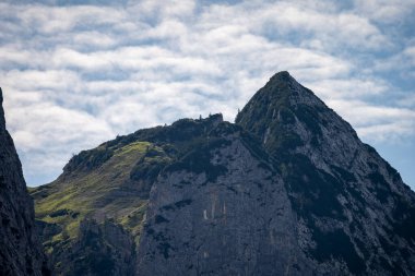 Wetterstein dağlarının manzarası ve yazın bir çayır, bavyera, Almanya