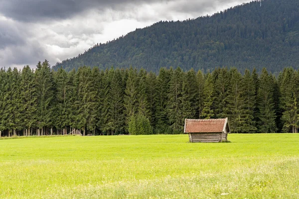 Pohled Horské Panorama Dřevěné Domy Zelené Louce Mittenwaldu — Stock fotografie