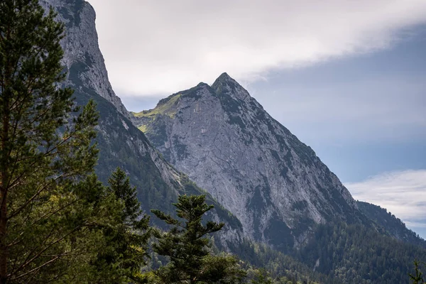 Utsikt Över Wetterstein Berg Och Äng Sommaren Bayern Tyskland — Stockfoto