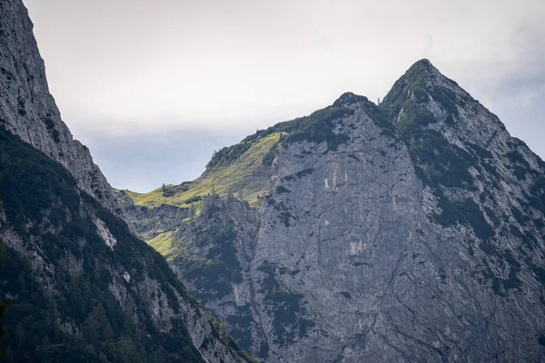 Wetterstein Dağlarının Manzarası Yazın Bir Çayır Bavyera Almanya — Stok fotoğraf