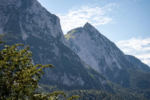 Utsikt Över Wetterstein Berg Och Äng Sommaren Bayern Tyskland — Stockfoto