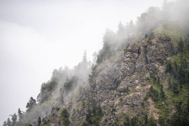 Ağaçlar ve dağ zirveleri sisli Yazın güzel planlı göl, Avusturalya