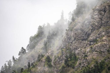 Ağaçlar ve dağ zirveleri sisli Yazın güzel planlı göl, Avusturalya