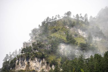 Ağaçlar ve dağ zirveleri sisli Yazın güzel planlı göl, Avusturalya