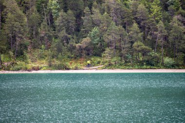Bir dağ bisikletçisi, güzel plan gölü Avusturalya 'da sisin içinde bir iz takip ediyor.