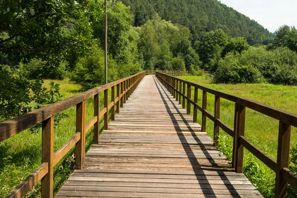 Όμορφο Τοπίο Στο Νοτιοδυτικό Παλατινάτο Sdwestpfalz Κοντά Fischbach Γερμανία — Φωτογραφία Αρχείου