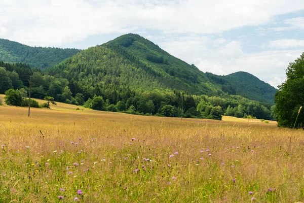 Прекрасний Краєвид Південно Західному Палаці Sdwestpfalz Поблизу Міста Фішбах Грізлі — стокове фото