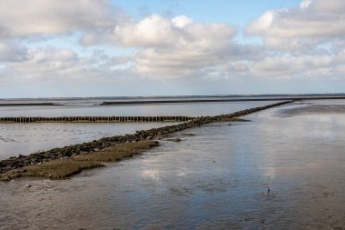 Pfaelzer wald ağaç tepelerinin güzel manzarası, rheinland-pfalz, Almanya