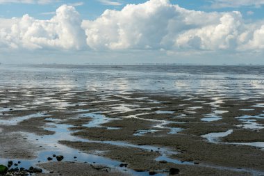view on the wadden sea of the north sea at low tide near emden, germany clipart