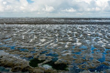 Kuzey Denizi 'nin çorak denizine bakın. Emden, Almanya yakınlarındaki gelgitte.