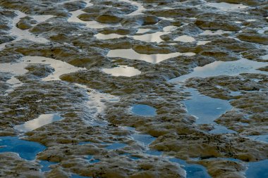 Kuzey Denizi 'nin çorak denizine bakın. Emden, Almanya yakınlarındaki gelgitte.