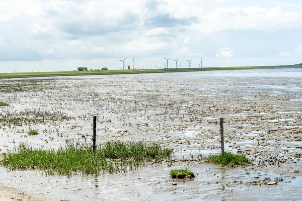 Steinschachtbrecher Deich Von Ostfriesland Nordsee Deutschland — Stockfoto