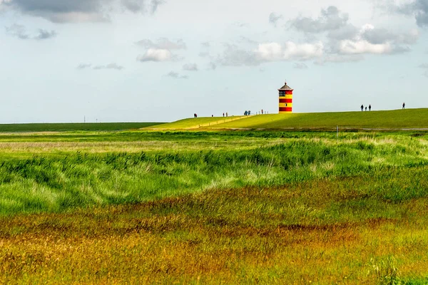 Doğu Frizya 'daki Pilsum deniz fenerinin manzarasında hendekte dolaşıp fotoğraf çeken turistler var.