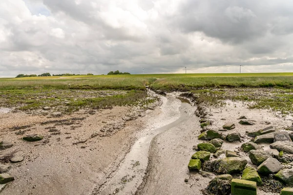 Schöne Landschaft Wattenmeer Mit Gras Und Wasser Rieselt Der Nordsee — Stockfoto