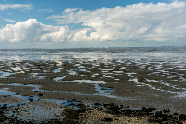 view on the wadden sea of the Northern sea at light life near emden, germany