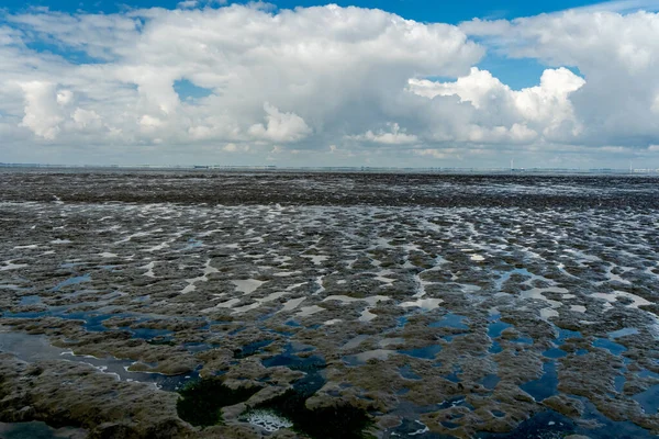 Θέα Στη Θάλασσα Wadden Της Βόρειας Θάλασσας Χαμηλή Παλίρροια Κοντά — Φωτογραφία Αρχείου