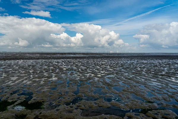 Kuzey Denizi 'nin çorak denizine bakın. Emden, Almanya yakınlarındaki gelgitte.