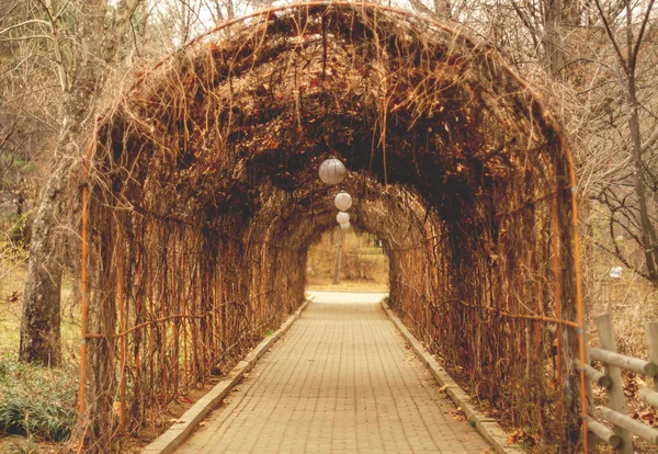 Sonbahar içinde Pergola Arch, kemerli yol,