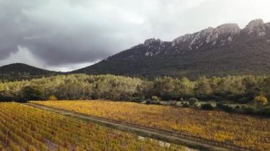 Hava dron görüntüleri izlenme: Uçuş ormanları ile bulutlu dağları arasında. Pic Saint Loup, Hortus, Fransa, Avrupa. Görkemli manzara. 4 k çözünürlük.