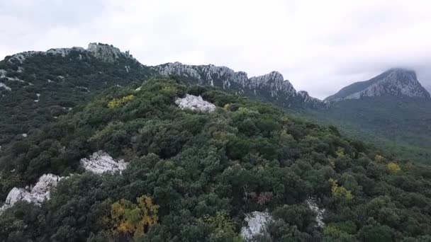 Aerial Drone Footage View Voo Sobre Montanhas Nubladas Com Florestas — Vídeo de Stock