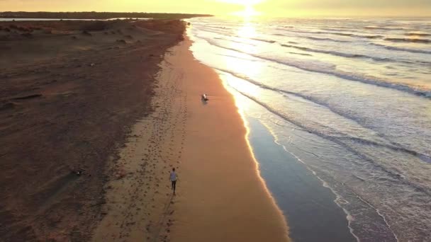 在日出时在海滩上慢跑时 用无人机对年轻的有魅力的男人进行空中平移 健身和健康生活方式理念中的跑步锻炼练习 — 图库视频影像