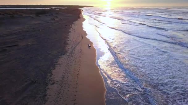 Aerial Panning Drone Young Attractive Man Jogging Beach Sunrise Running — Stock Video