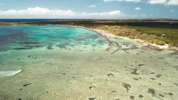 Anse Souffleur Lagün Port Louis Grande Terre Guadeloupe Karayipler Havadan — Stok video