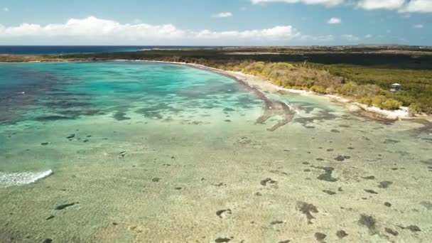 Megtekintés Anse Souffleur Lagúna Port Louis Grande Terre Guadeloupe Karib — Stock videók