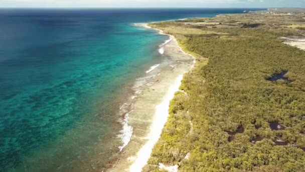 Anse Souffleur Lagün Port Louis Grande Terre Guadeloupe Karayipler Havadan — Stok video