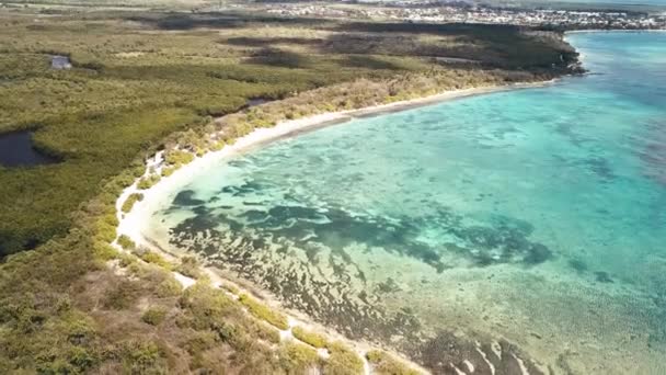 Vista Aérea Anse Souffleur Lagoa Port Louis Grande Terre Guadalupe — Vídeo de Stock