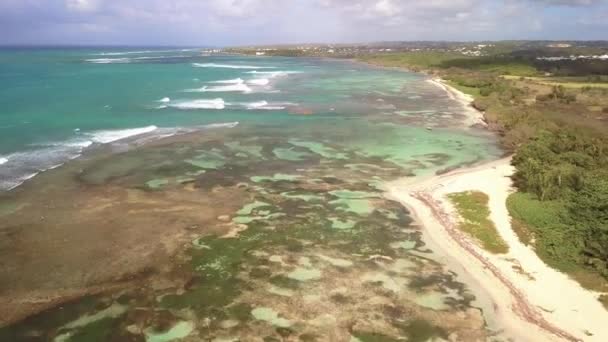 Letecký Pohled Pláž Bois Jolan Laguna Grande Terre Guadeloupe Karibik — Stock video