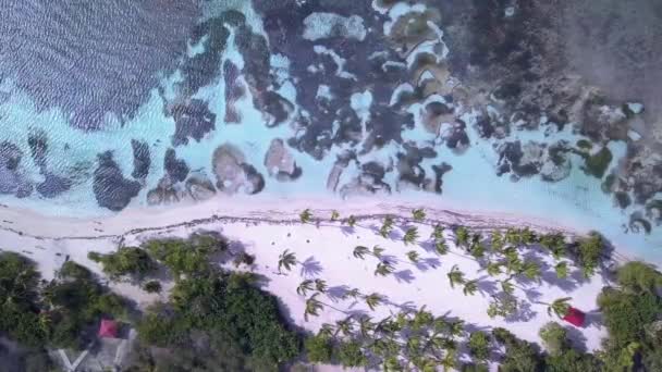 Vista Aérea Bois Jolan Beach Laguna Grande Terre Guadalupe Caribe — Vídeo de stock