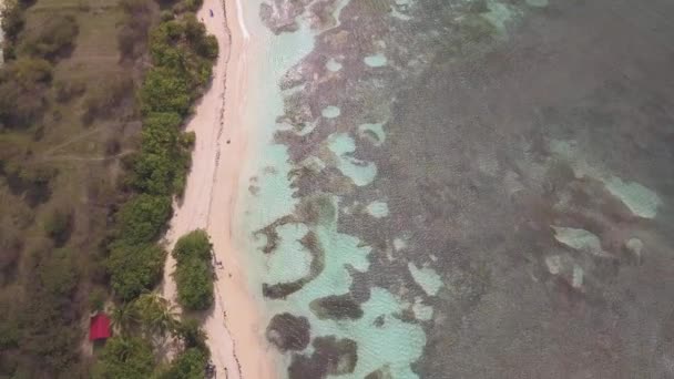 Letecký Pohled Pláž Bois Jolan Laguna Grande Terre Guadeloupe Karibik — Stock video