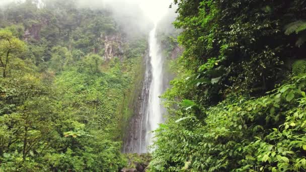 Idyllic Waterfall Amazing Nature Wild River Jungle Forest Chute Carbet — Stock Video