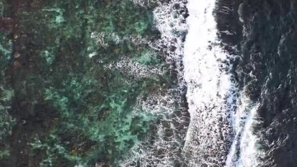 バリアリーフに衝突する美しい海の波の空中ドローンビデオ — ストック動画